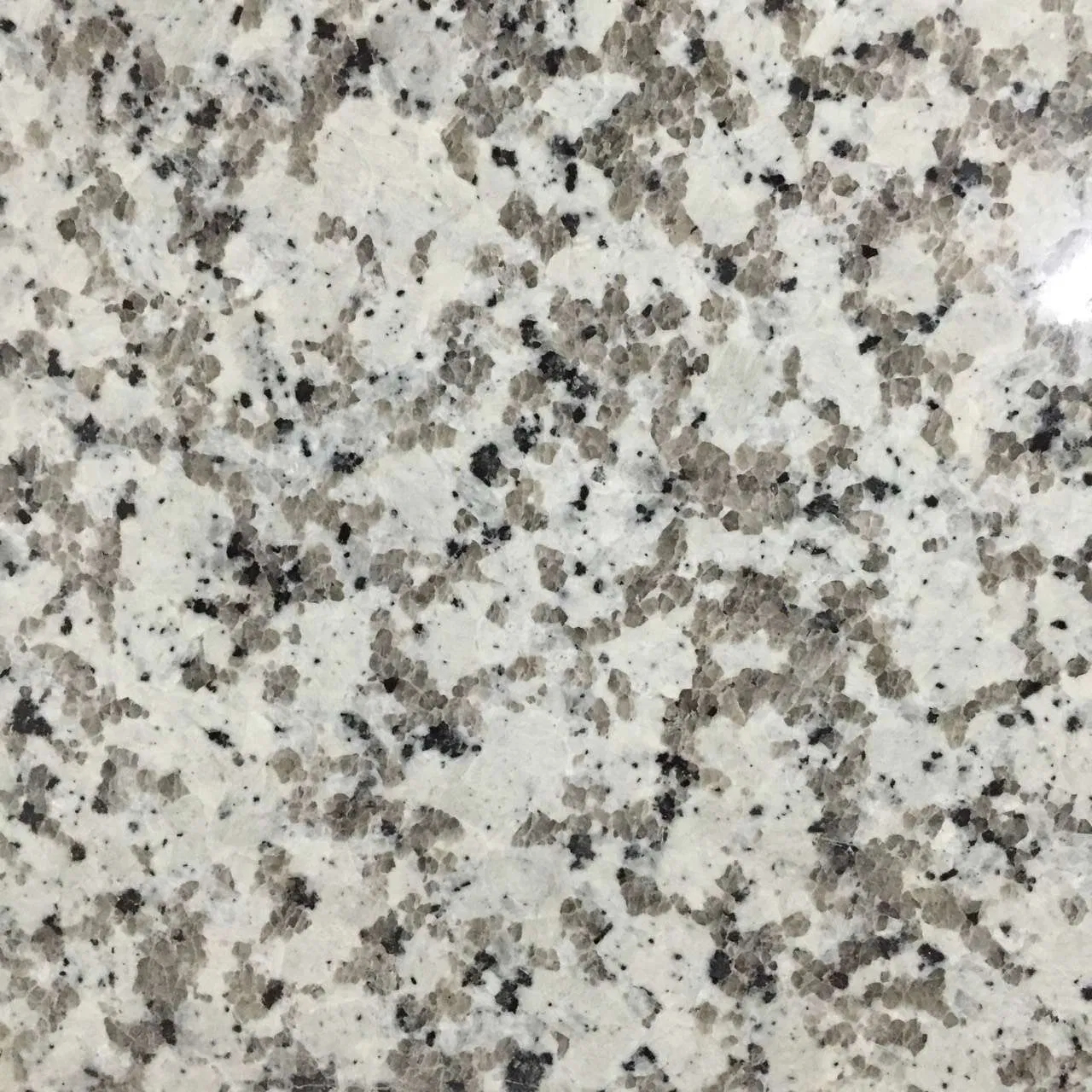 Natural Granite Slabs and Tiles with Dry Layout Service